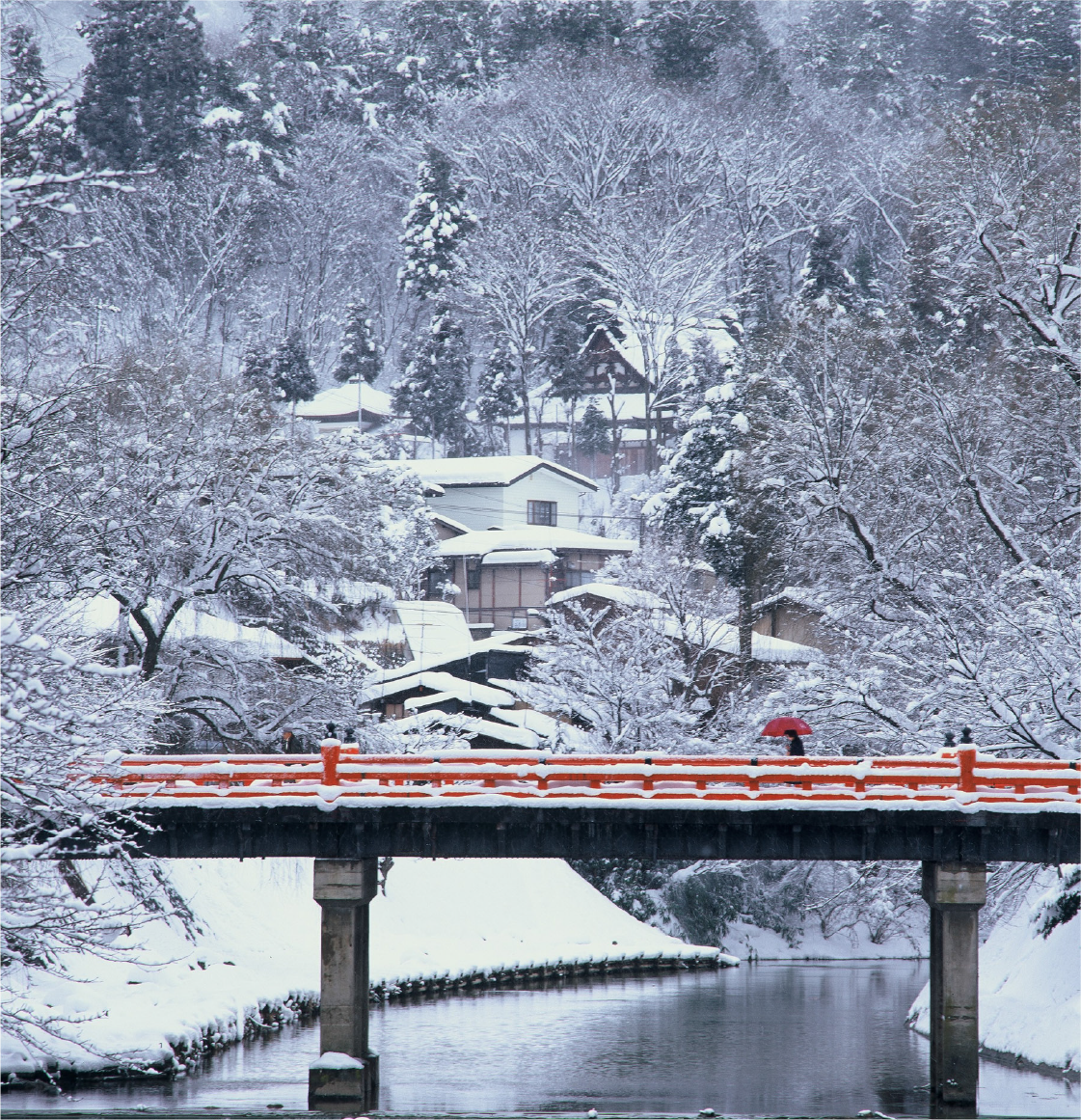 Shikizakura