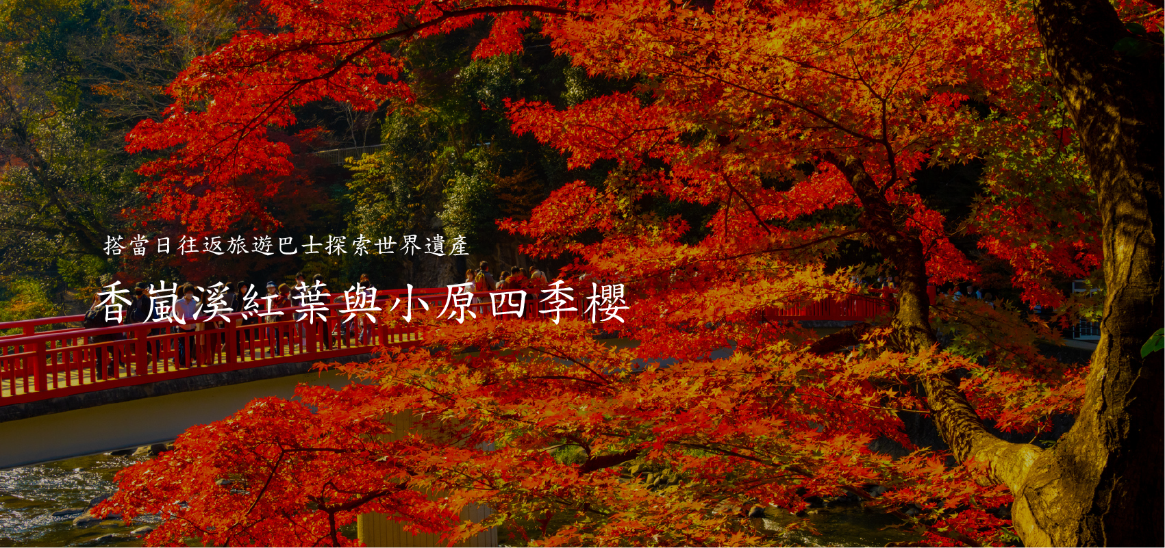 其他旅游