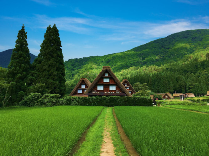 nagoya to shirakawago tour